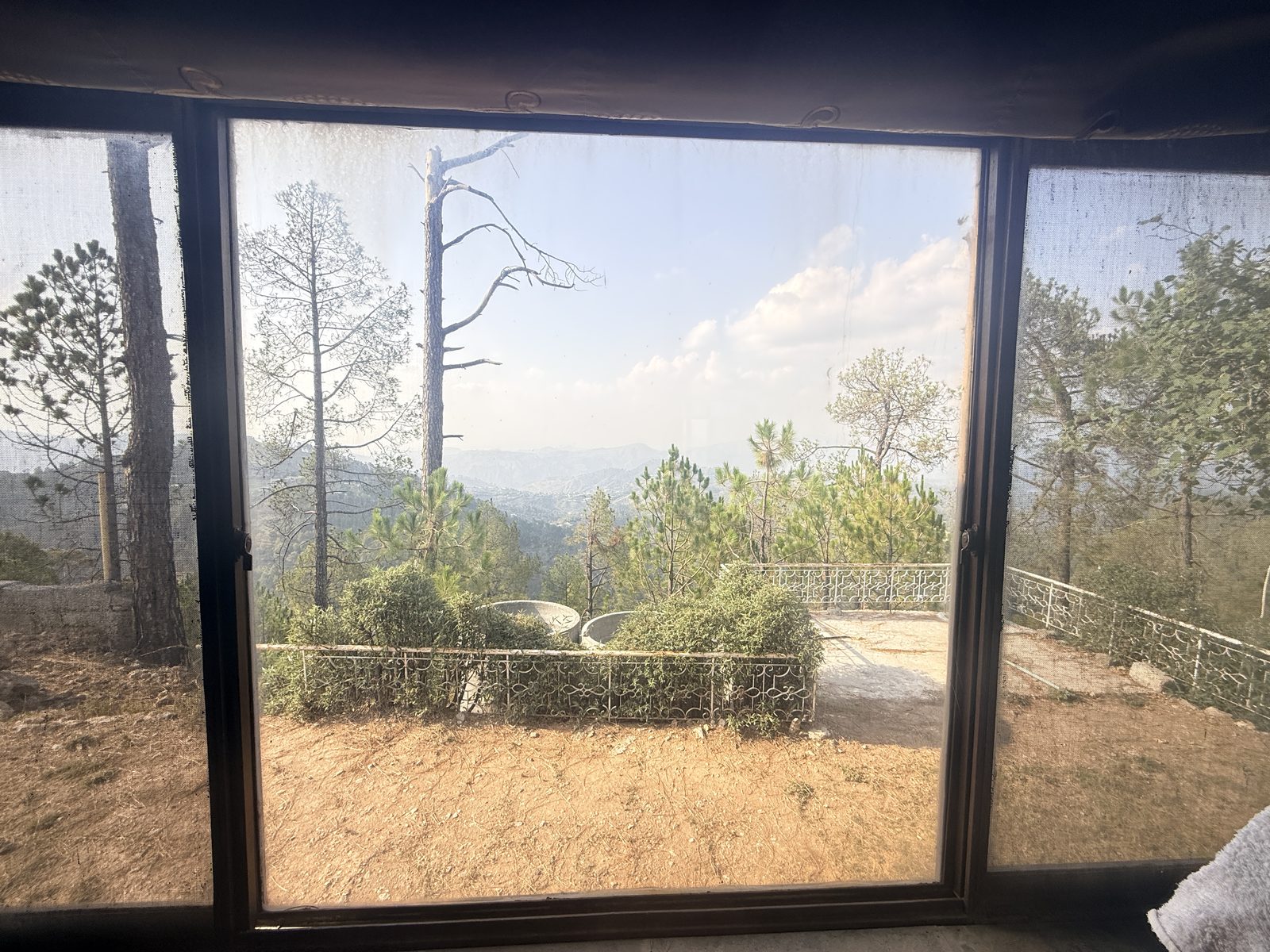 The Markhor — photo 7