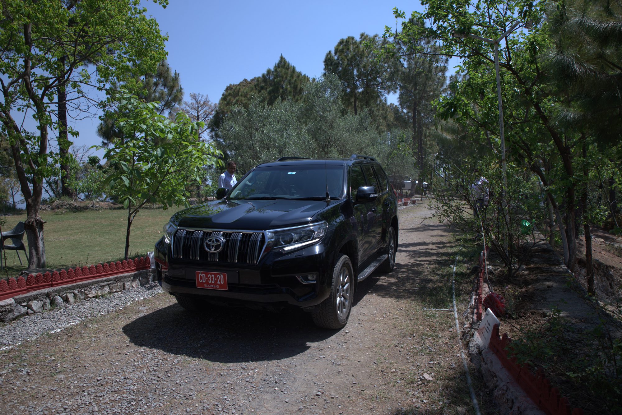 Arrival through the pine-lined driveway at Yaldram Resort