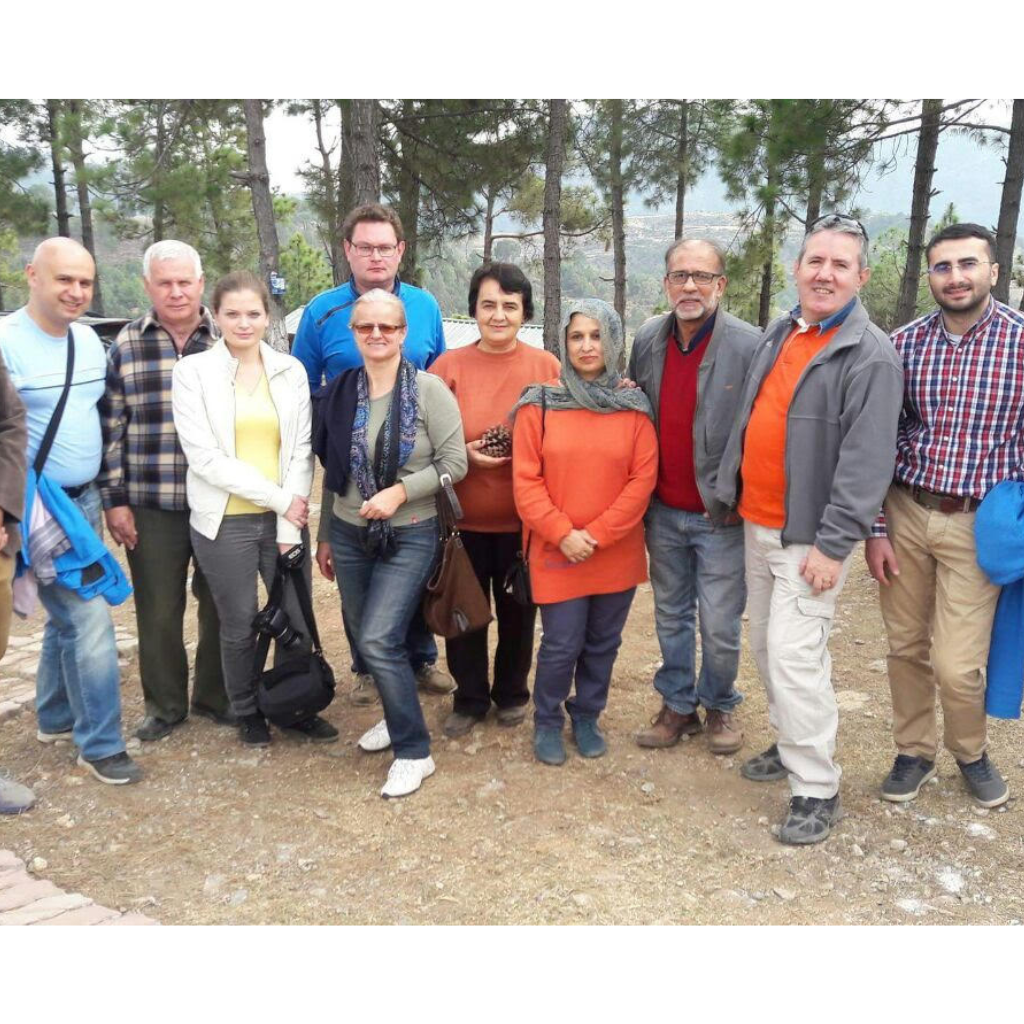 Untitled design (26)