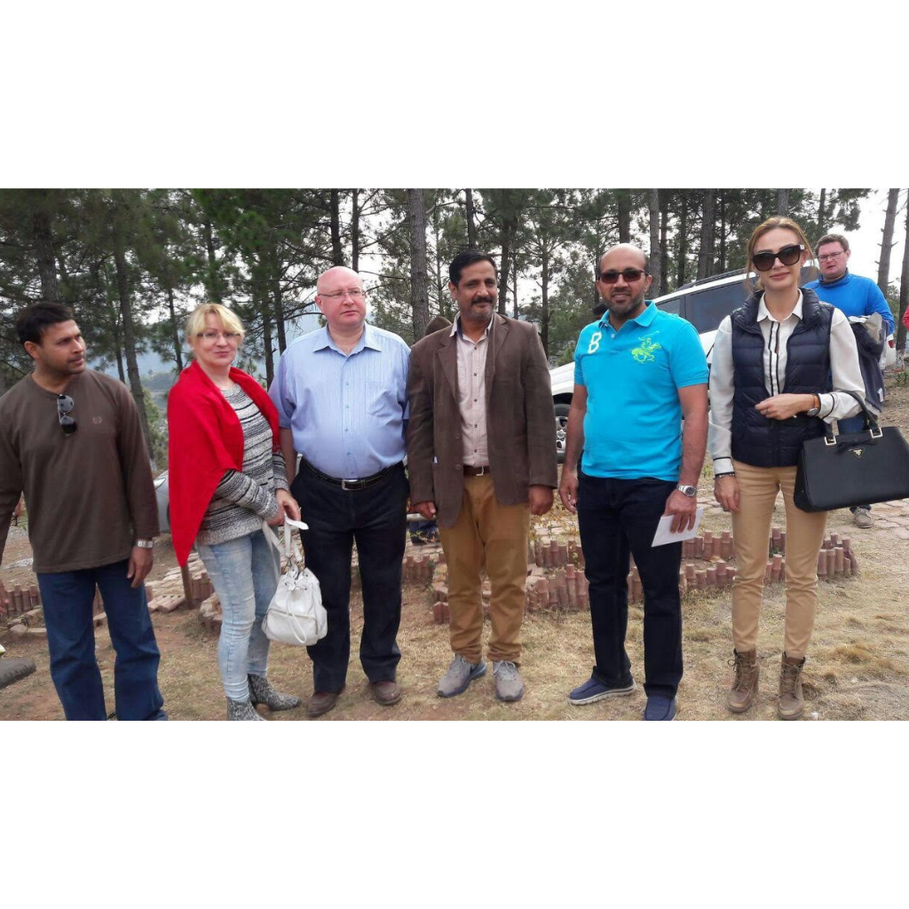 Untitled design (27)