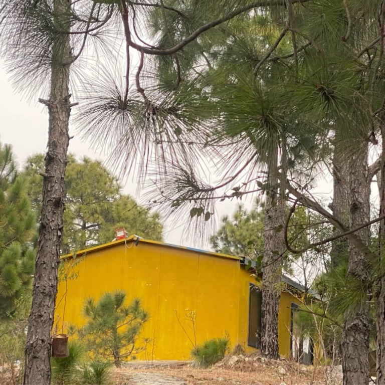 Untitled design (31)